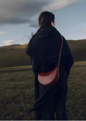 A niche French single-shoulder crossbody crescent bag for women, carried under the armpi