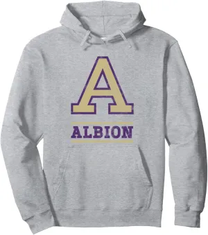 Albion College Britons Distressed Primary Pullover Hoodie