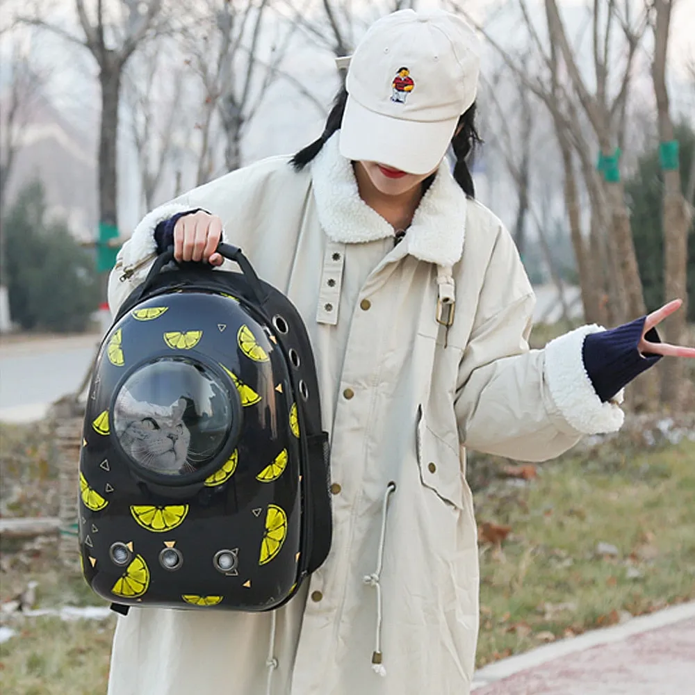 Double Shoulder Pet Backpack
