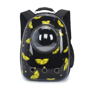 Double Shoulder Pet Backpack
