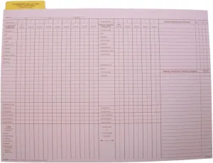 Hammond & Stephens Data Insert for Cumulative Record Folder, 9 x 11-3/4 Inches, Set of 25
