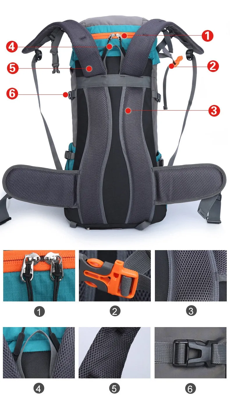 Large Capacity Waterproof Camping Backpack (65L)