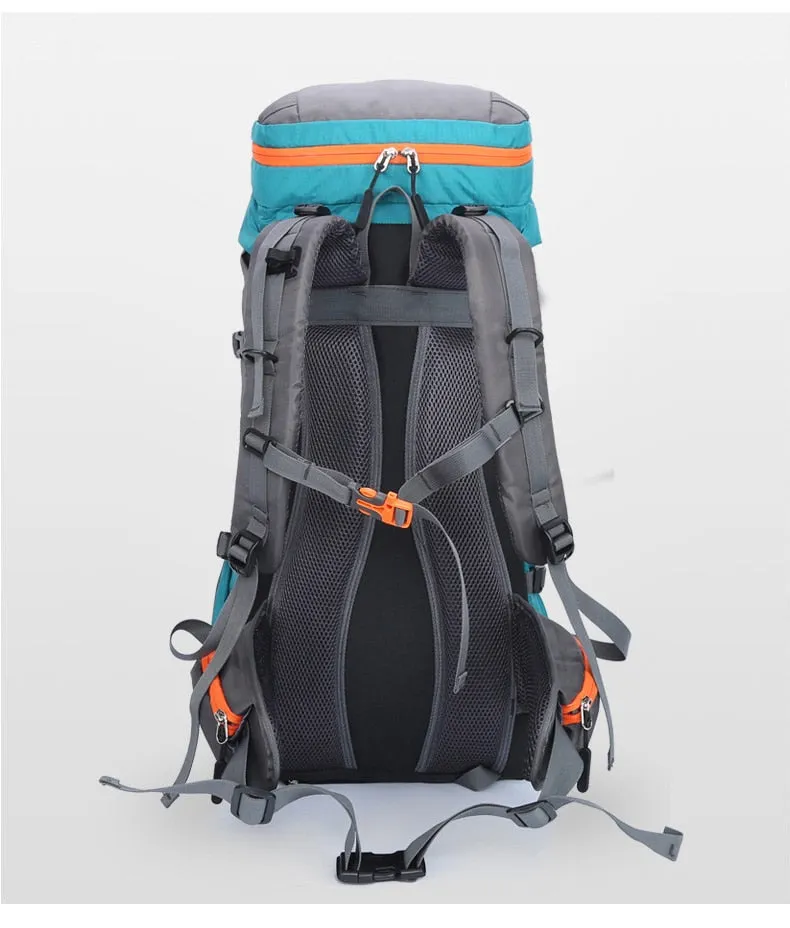 Large Capacity Waterproof Camping Backpack (65L)