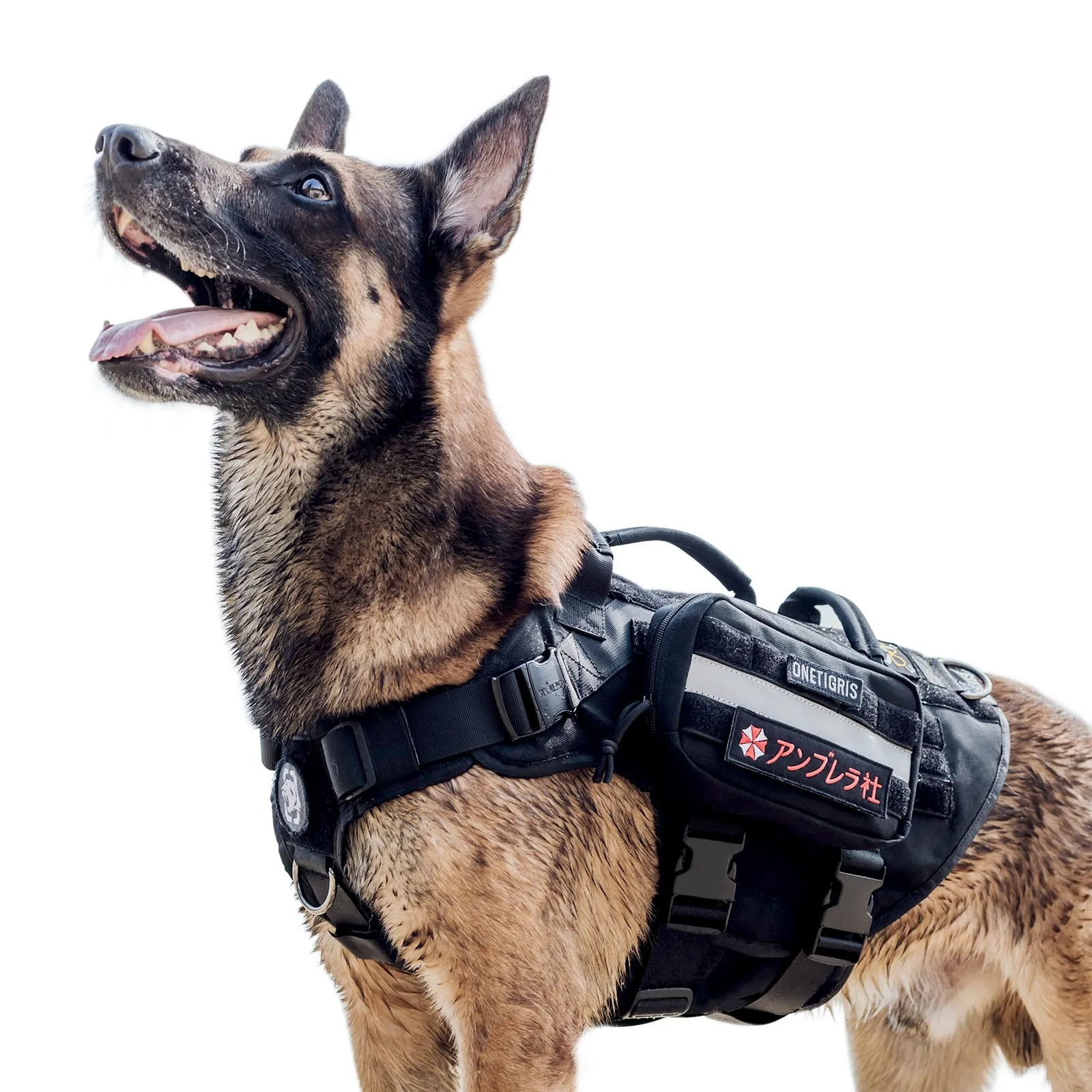 MOLLE DOG POUCHES