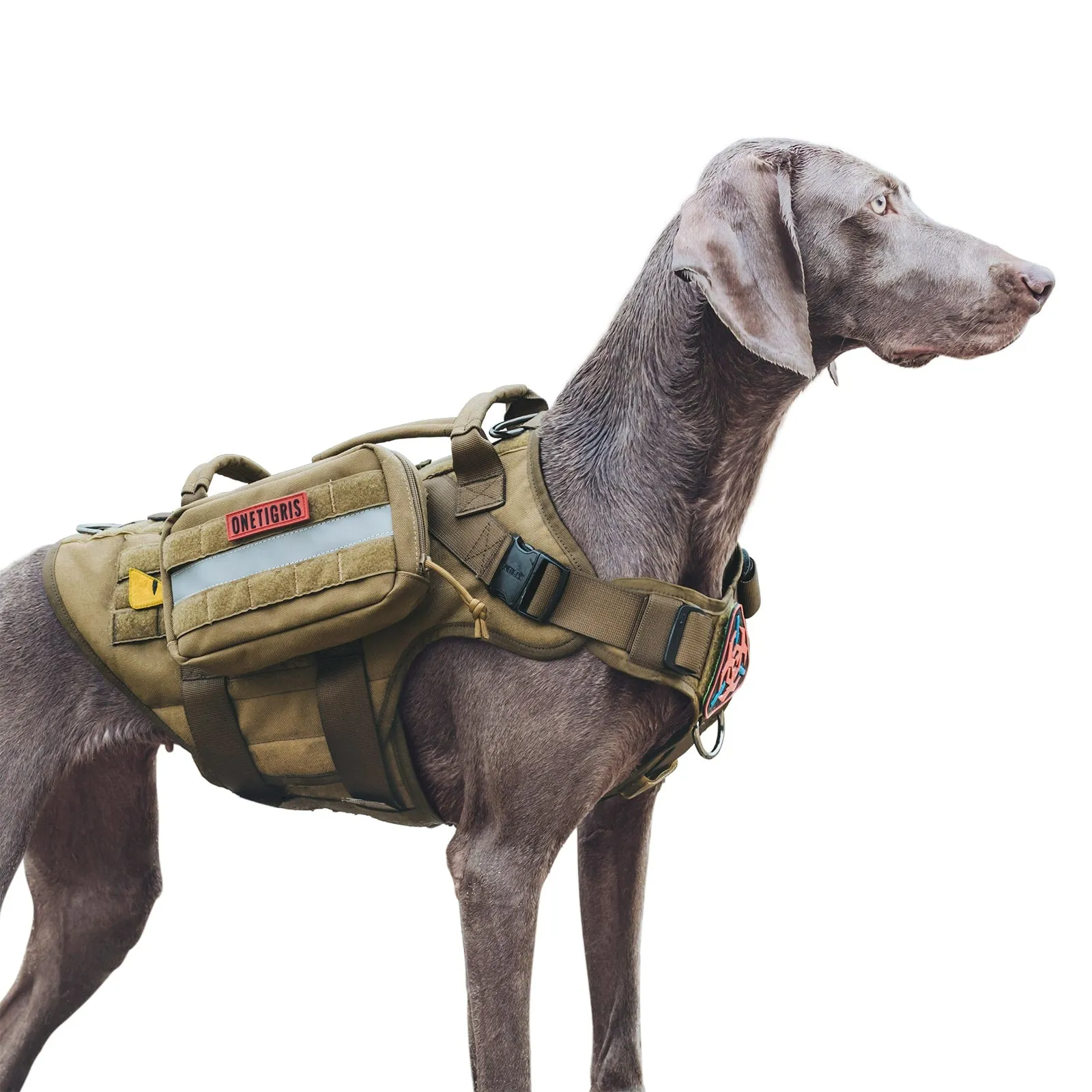 MOLLE DOG POUCHES