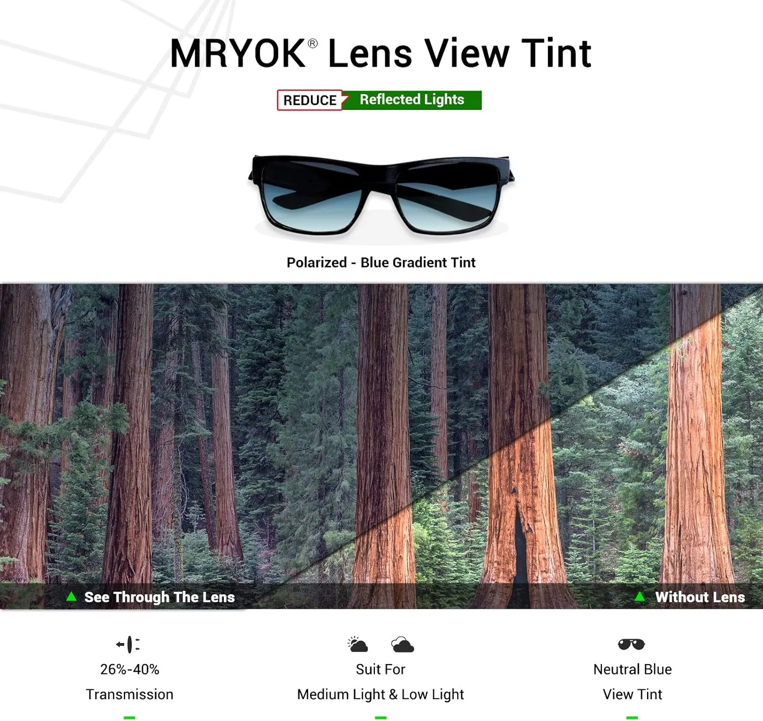 Mryok Replacement Lenses for Rudy Project Rydon - Options
