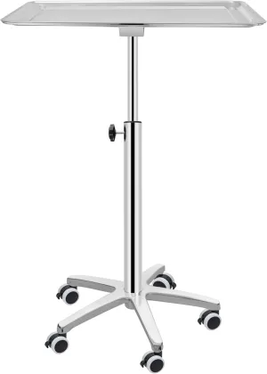 Salon Tray Extra Large Tattoo Tray Premium Stainless Steel Tray cart for Clinic Spa Dental，Rolling Hairstylist Tray Mayo Stand with Brake Wheels